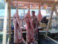 /album/zabijacka-2012/a2012-11-24-11-43-48-jpg/